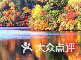 小猫钓鱼开船版最新版下载